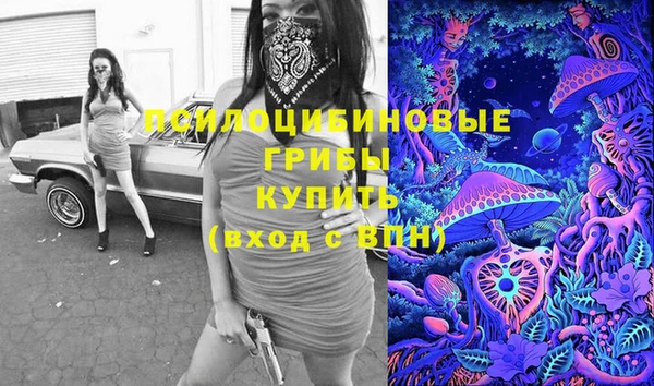 прущие грибы Армянск