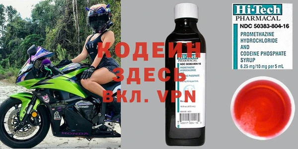 прущие грибы Армянск