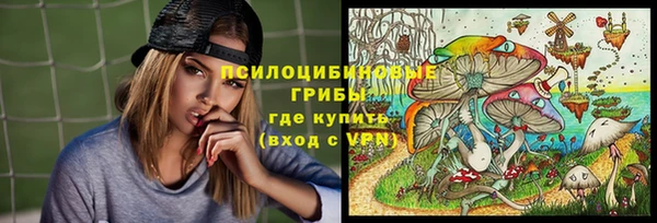 не бодяженный Аркадак