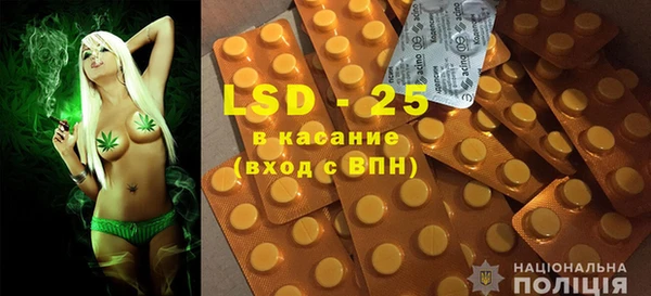 прущие грибы Армянск