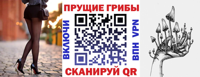 Галлюциногенные грибы Cubensis  где купить наркотик  Ивантеевка 